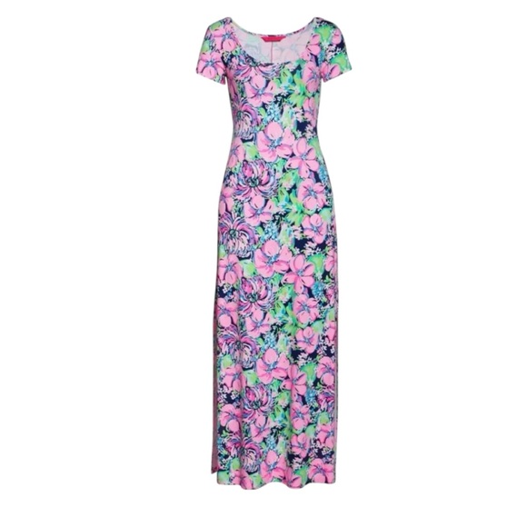 Lilly Pulitzer Wynne Maxi Dress Small - Picture 2 of 16